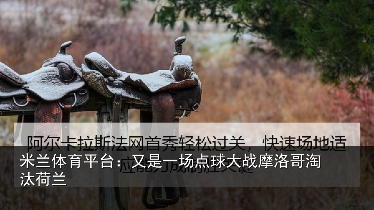 米兰体育平台：又是一场点球大战摩洛哥淘汰荷兰