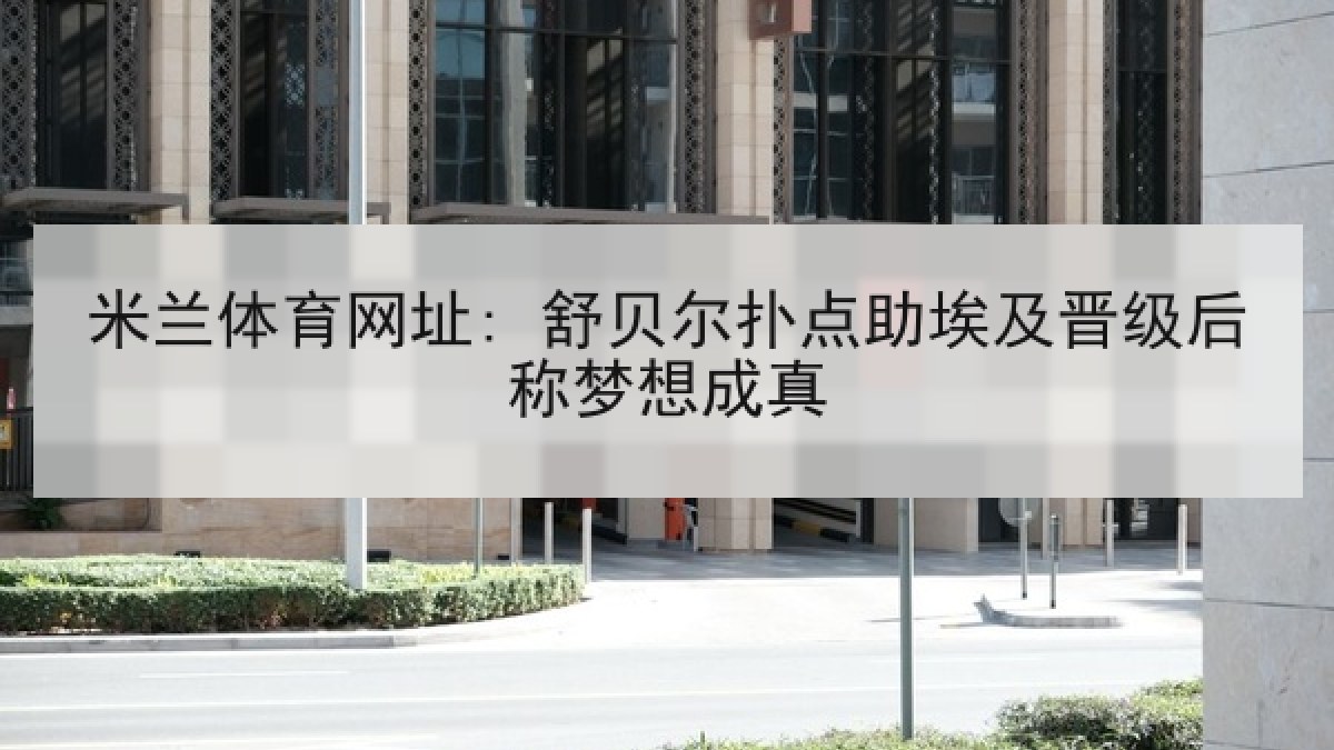米兰体育网址: 舒贝尔扑点助埃及晋级后称梦想成真