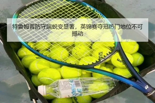 te-lu-mu-pu-fang-shou-duan-tui-bian-xian-zhu-ying-jin-sai-duo-guan-re-men-di-wei-bu-ke-han-dong-3-341.jpg