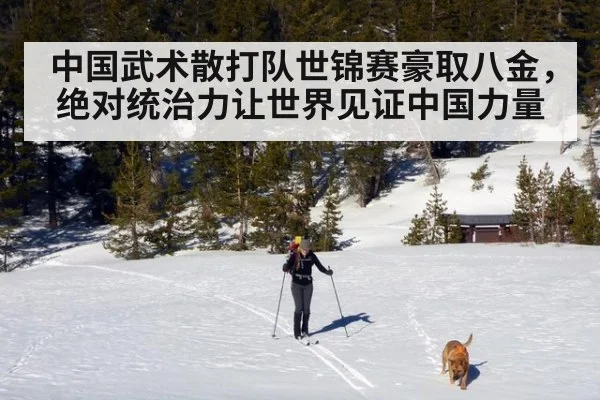 中国武术散打队世锦赛豪取八金，绝对统治力让世界见证中国力量